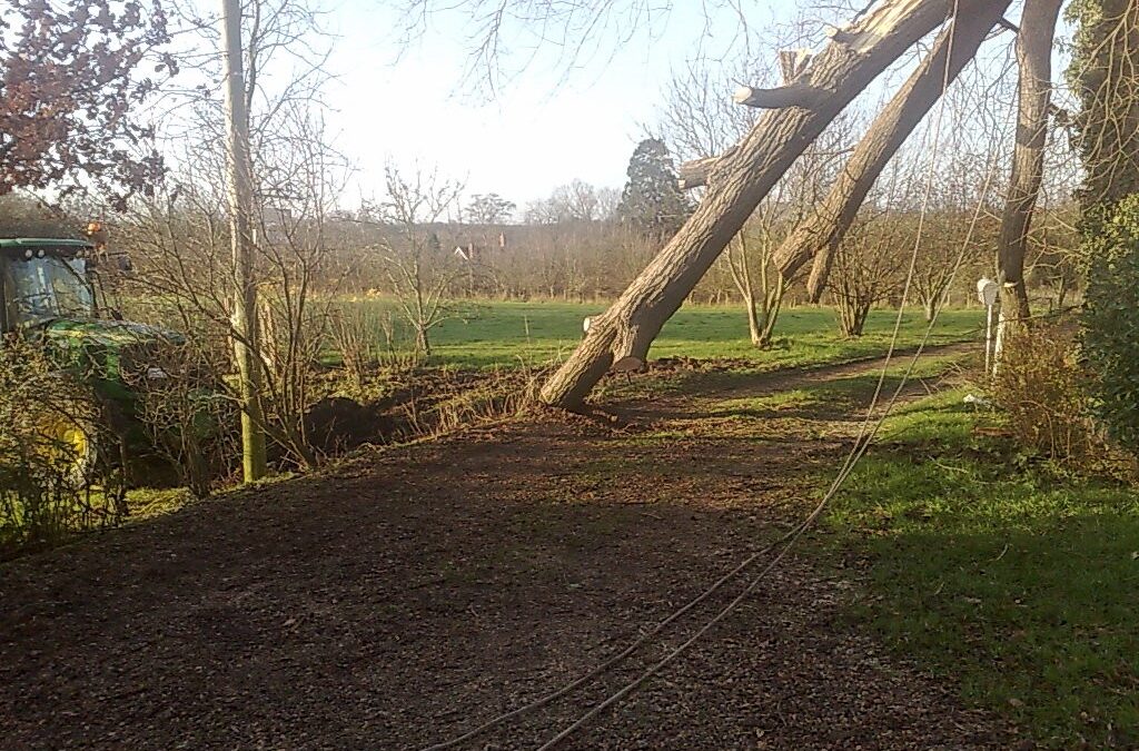 Storm Damage