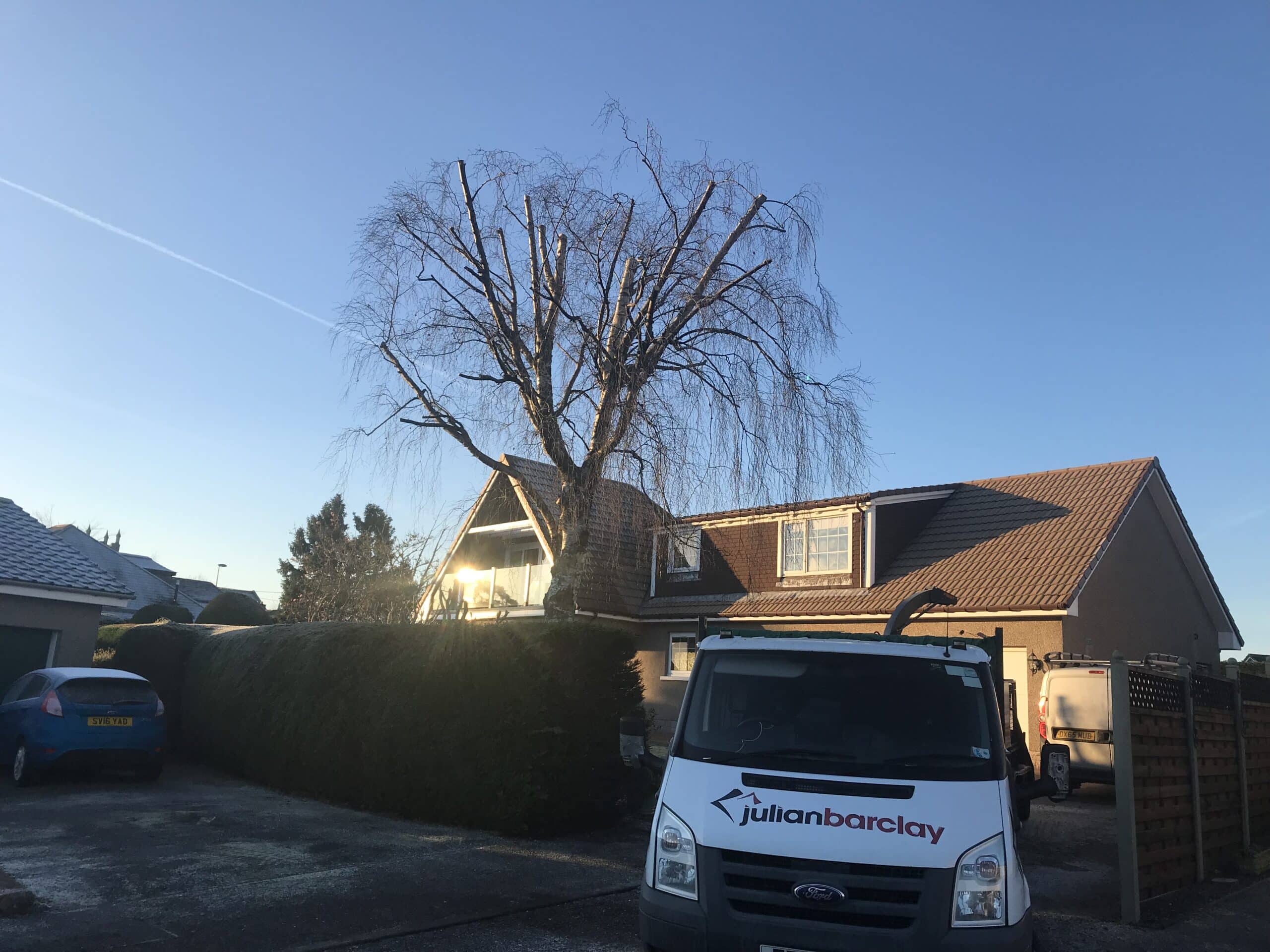 Crown reduction work completed by Julian Barclay on this Silver Birch tree in Banchory, Aberdeenshire